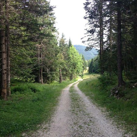 Beau Site Apartman Villard-de-Lans Kültér fotó